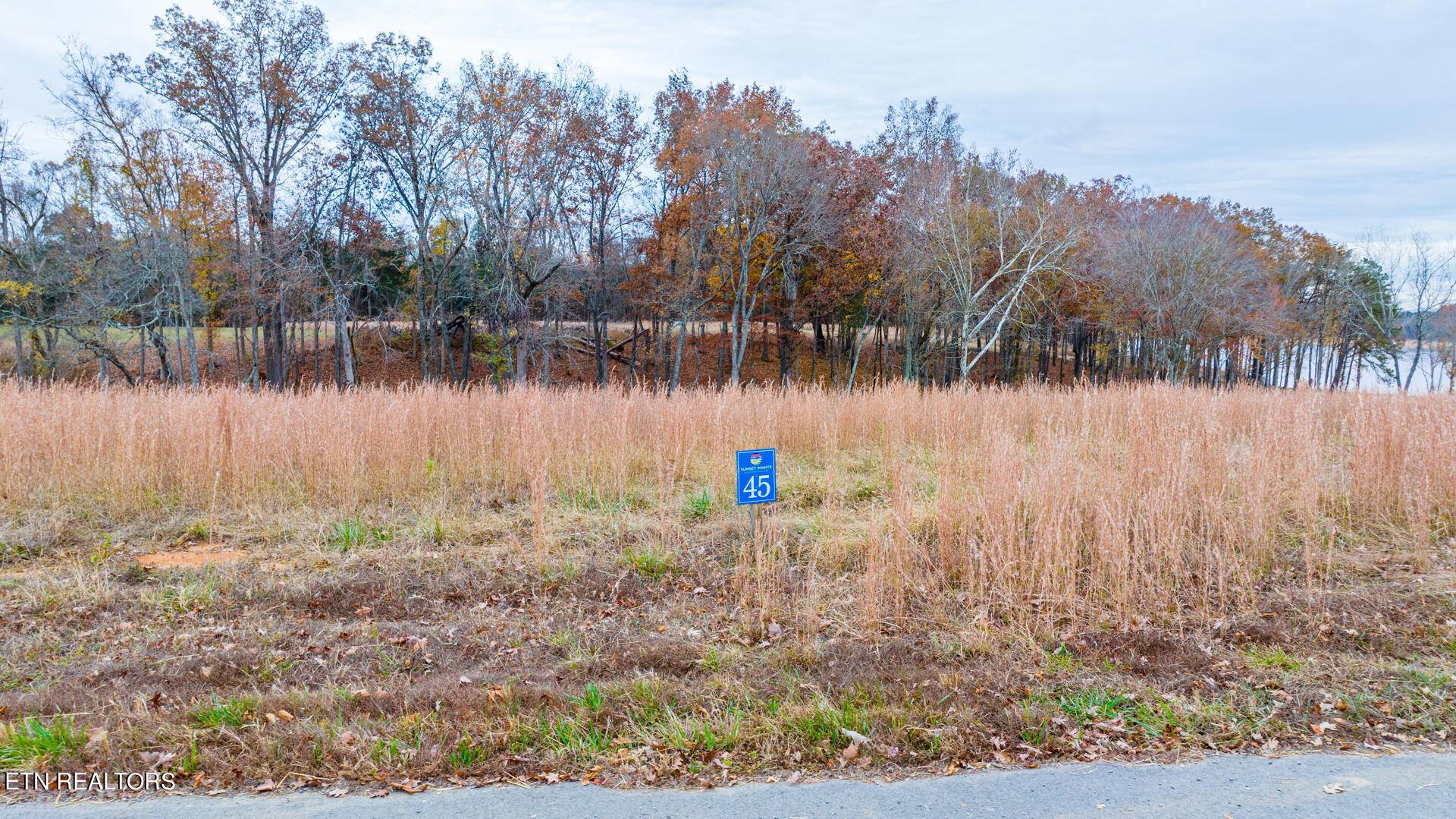 Baneberry, TN 37890,English Mountain PT