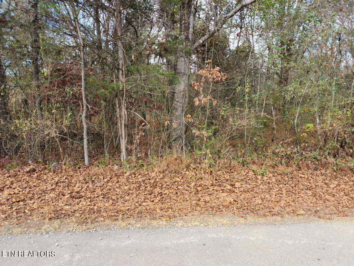 Rockwood, TN 37854,Loch Haven DR