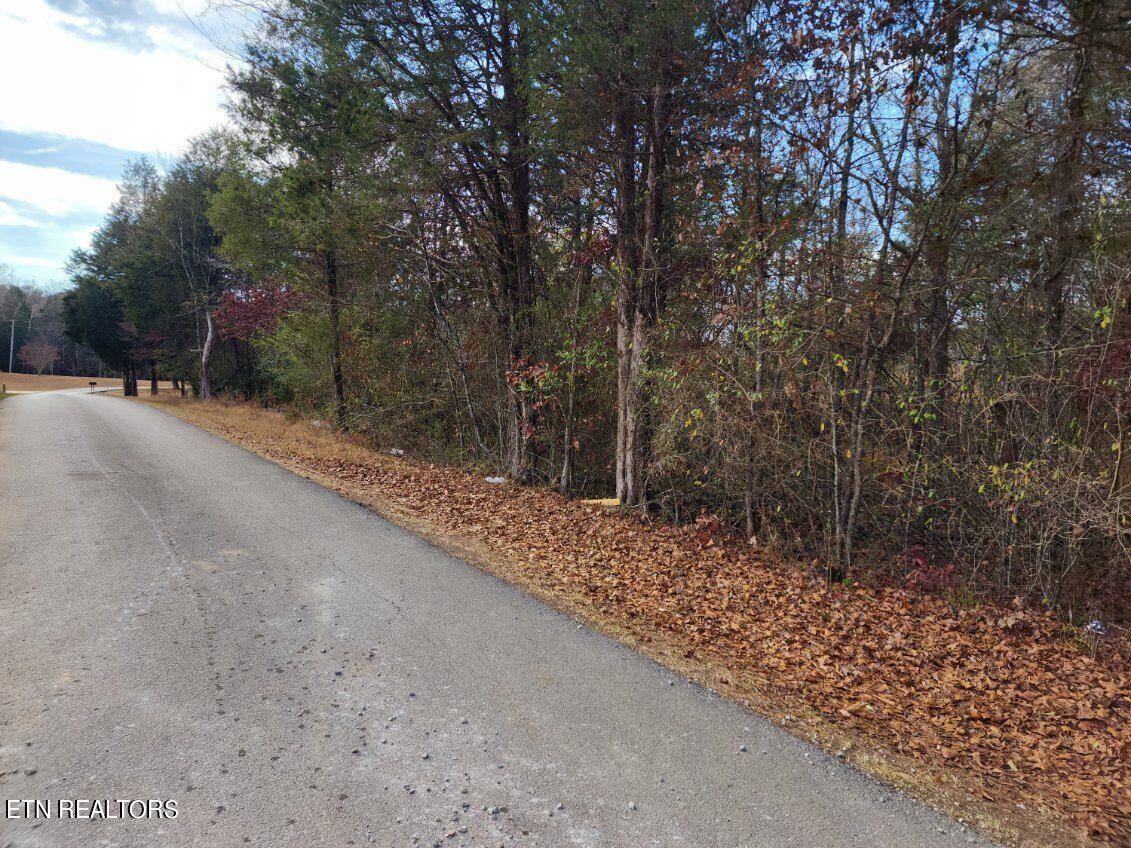 Rockwood, TN 37854,Loch Haven DR