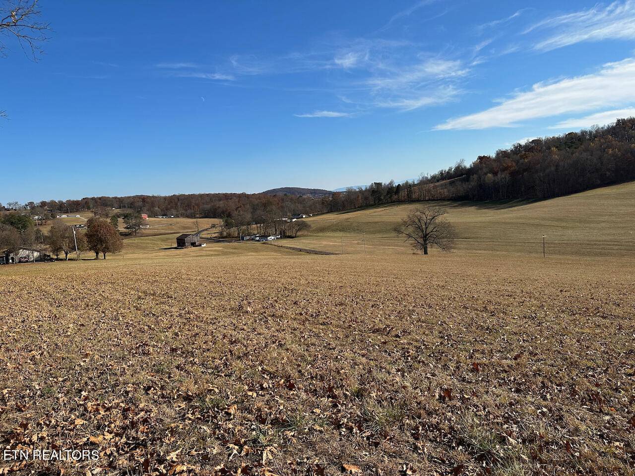 Rutledge, TN 37861,Owl Hole Gap Rd