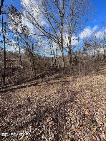 New Market, TN 37820,11 Acres Underwood Rd