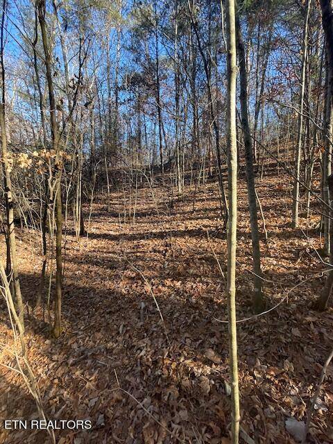 Sevierville, TN 37876,Lot 27R1 Jada Ln.