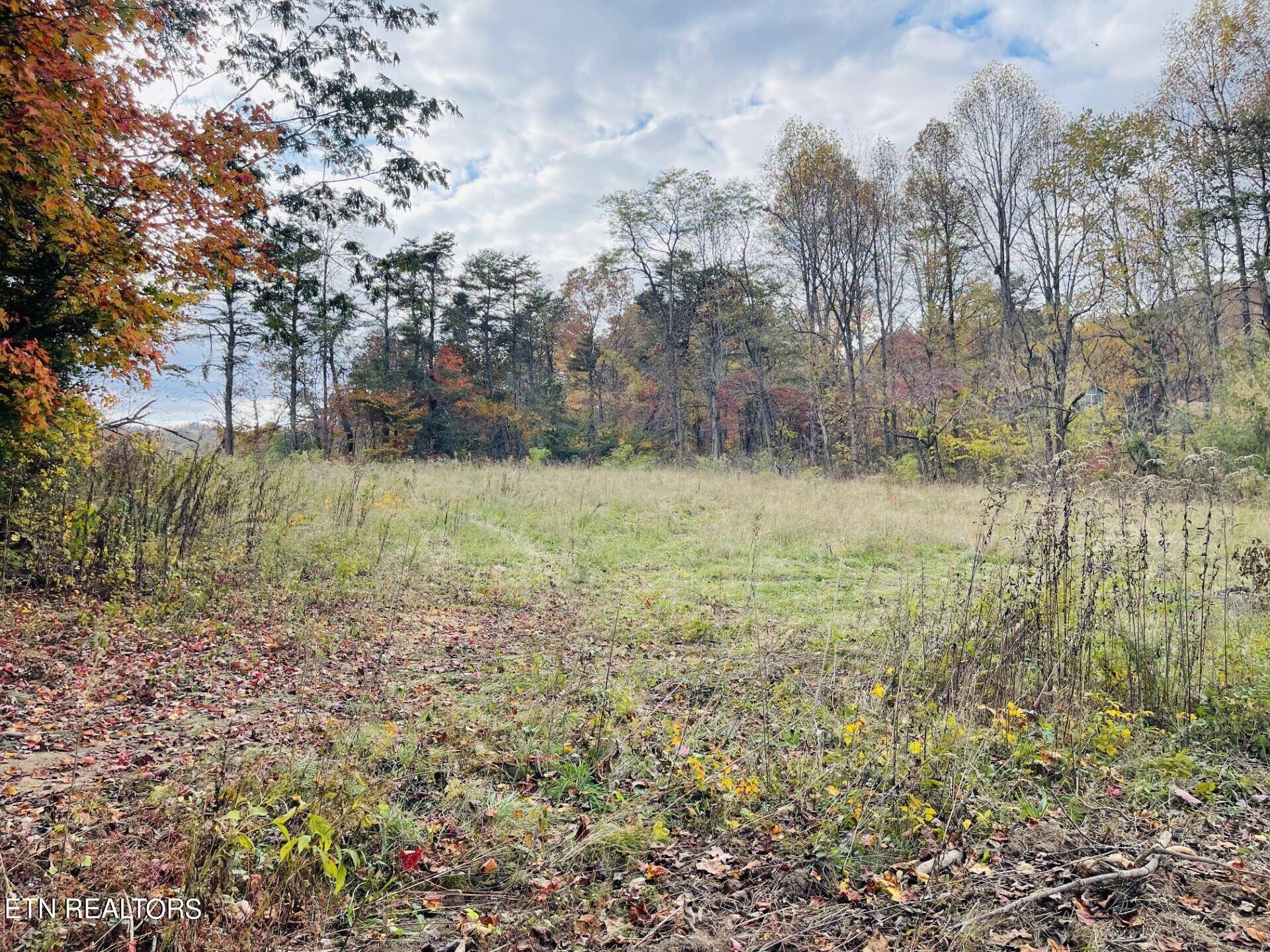 Sevierville, TN 37862,Lot 4A McPherson LN