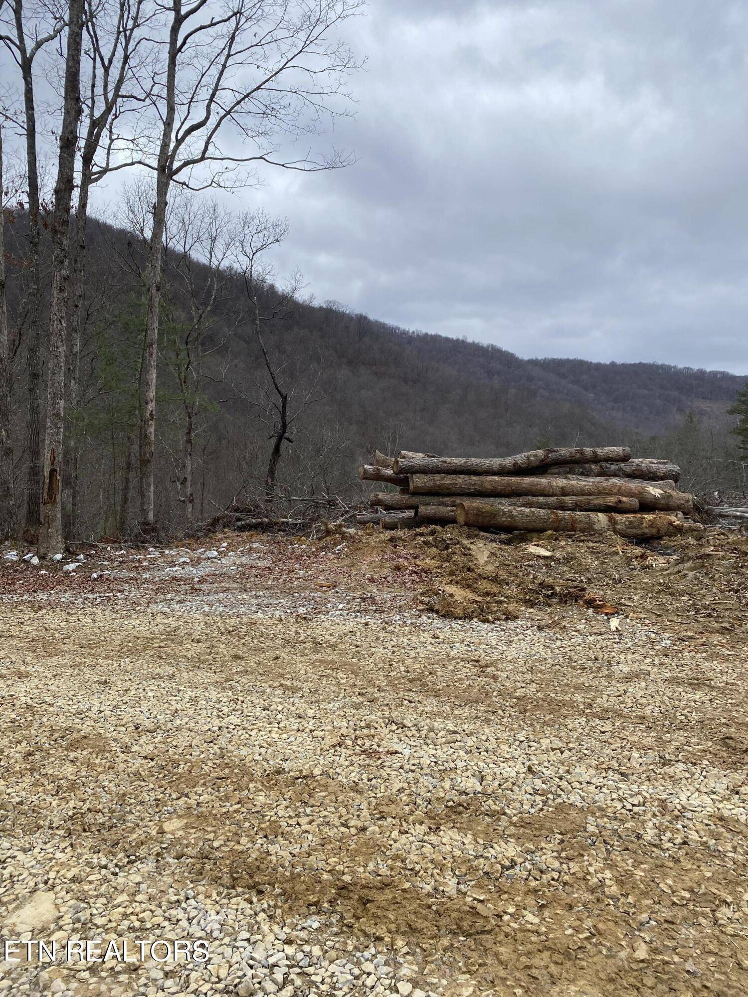 Oneida, TN 37841,LOT # 12 STANLEY CREEK