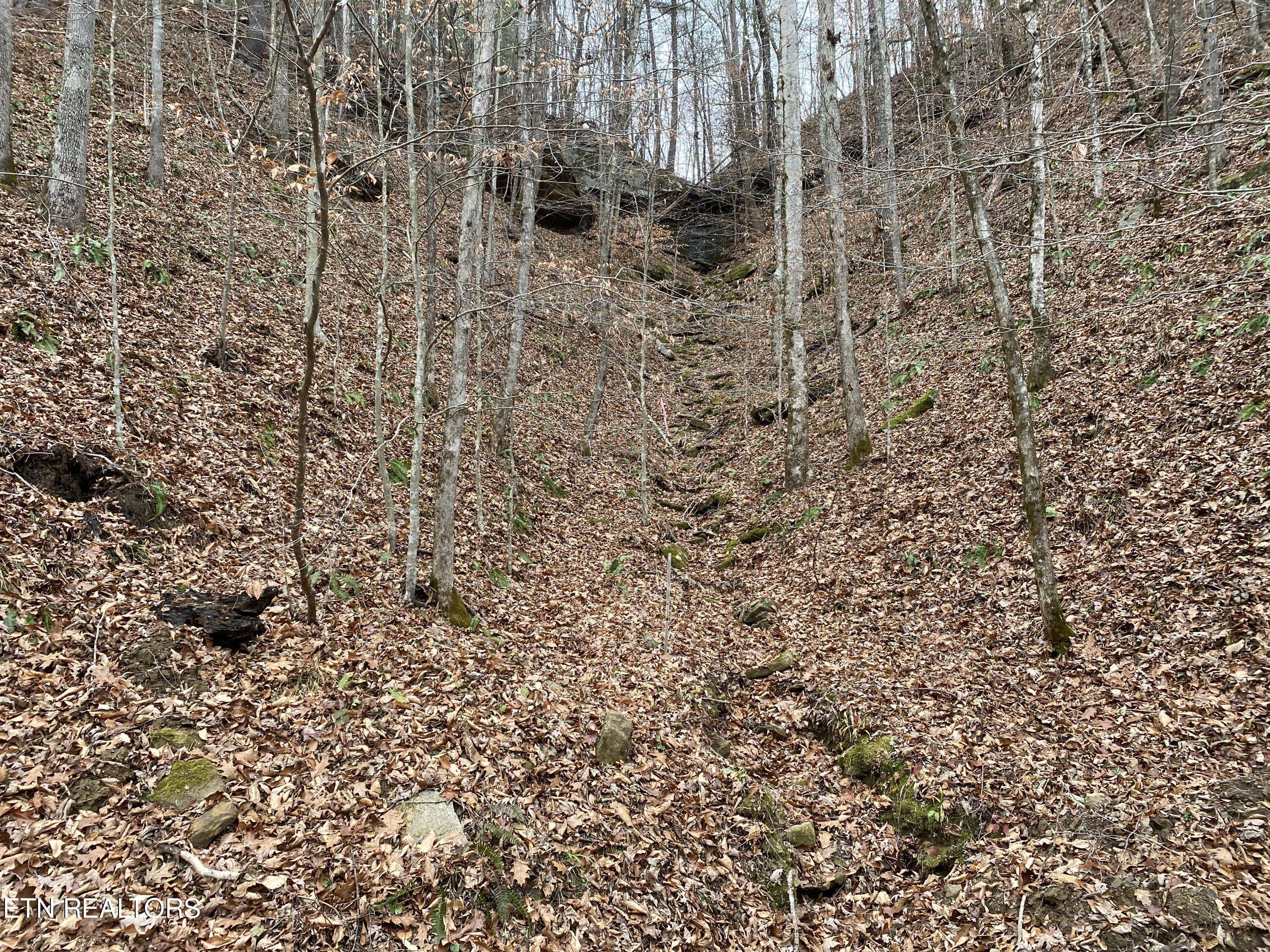 Oneida, TN 37841,LOT # 12 STANLEY CREEK