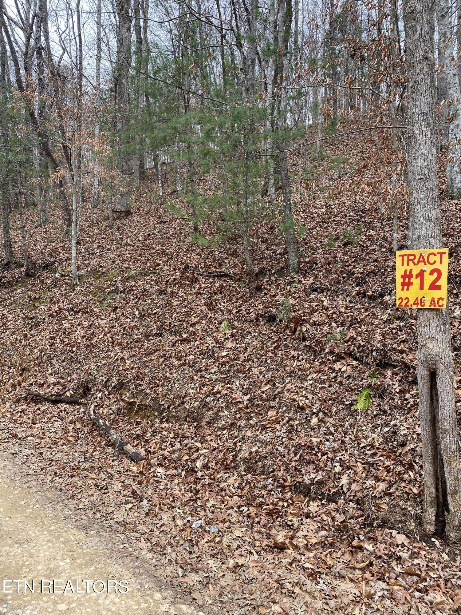 Oneida, TN 37841,LOT # 12 STANLEY CREEK