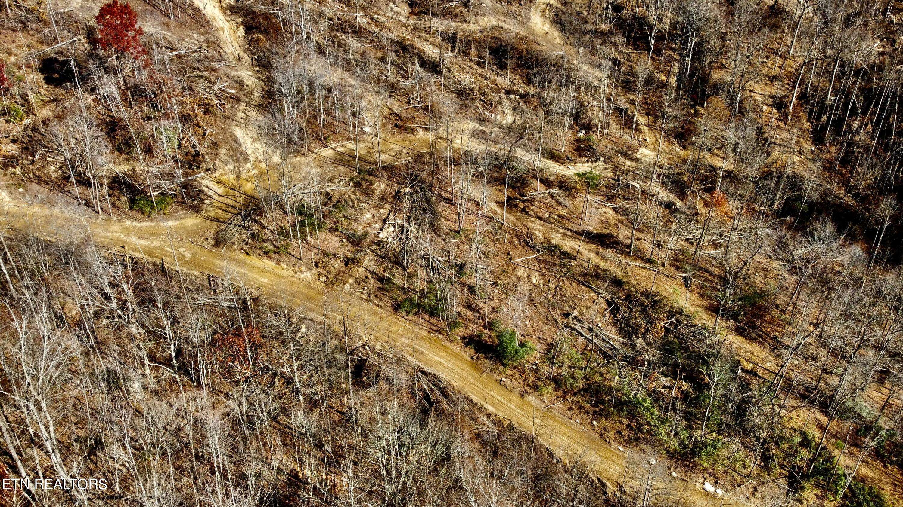 Oneida, TN 37841,LOT # 14 STANLEY CREEK RD