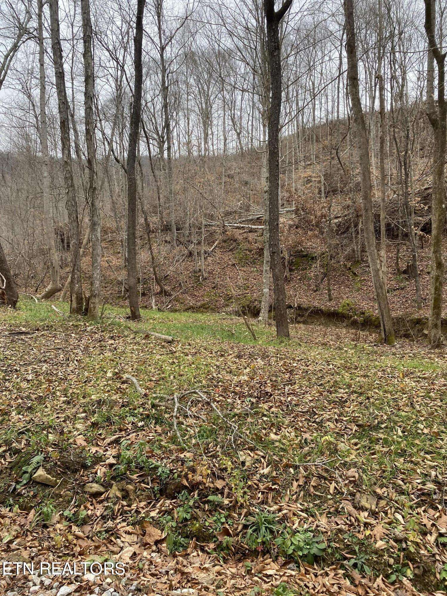 Oneida, TN 37841,LOT # 16 STANLEY CREEK Rd