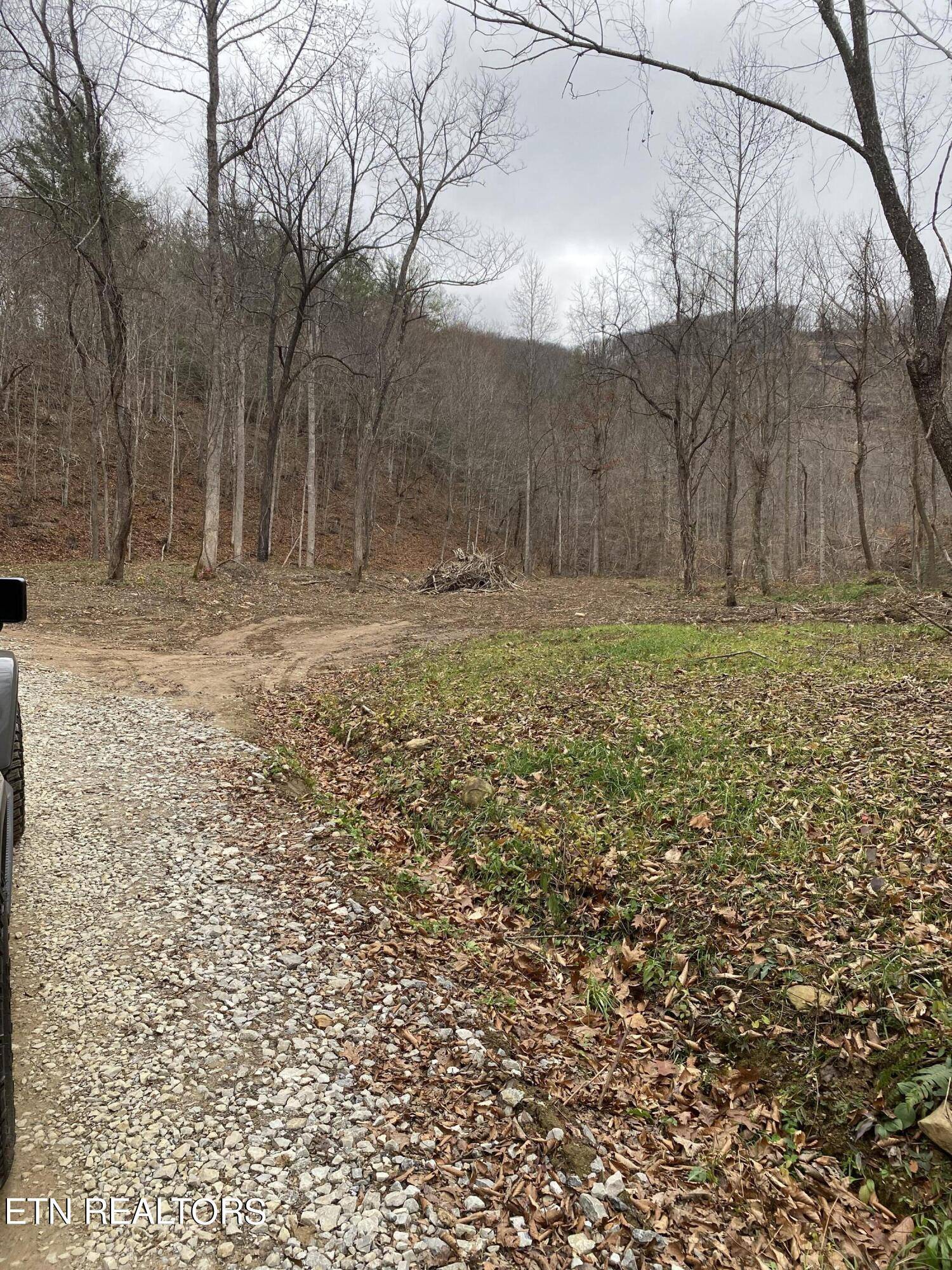 Oneida, TN 37841,LOT # 16 STANLEY CREEK Rd