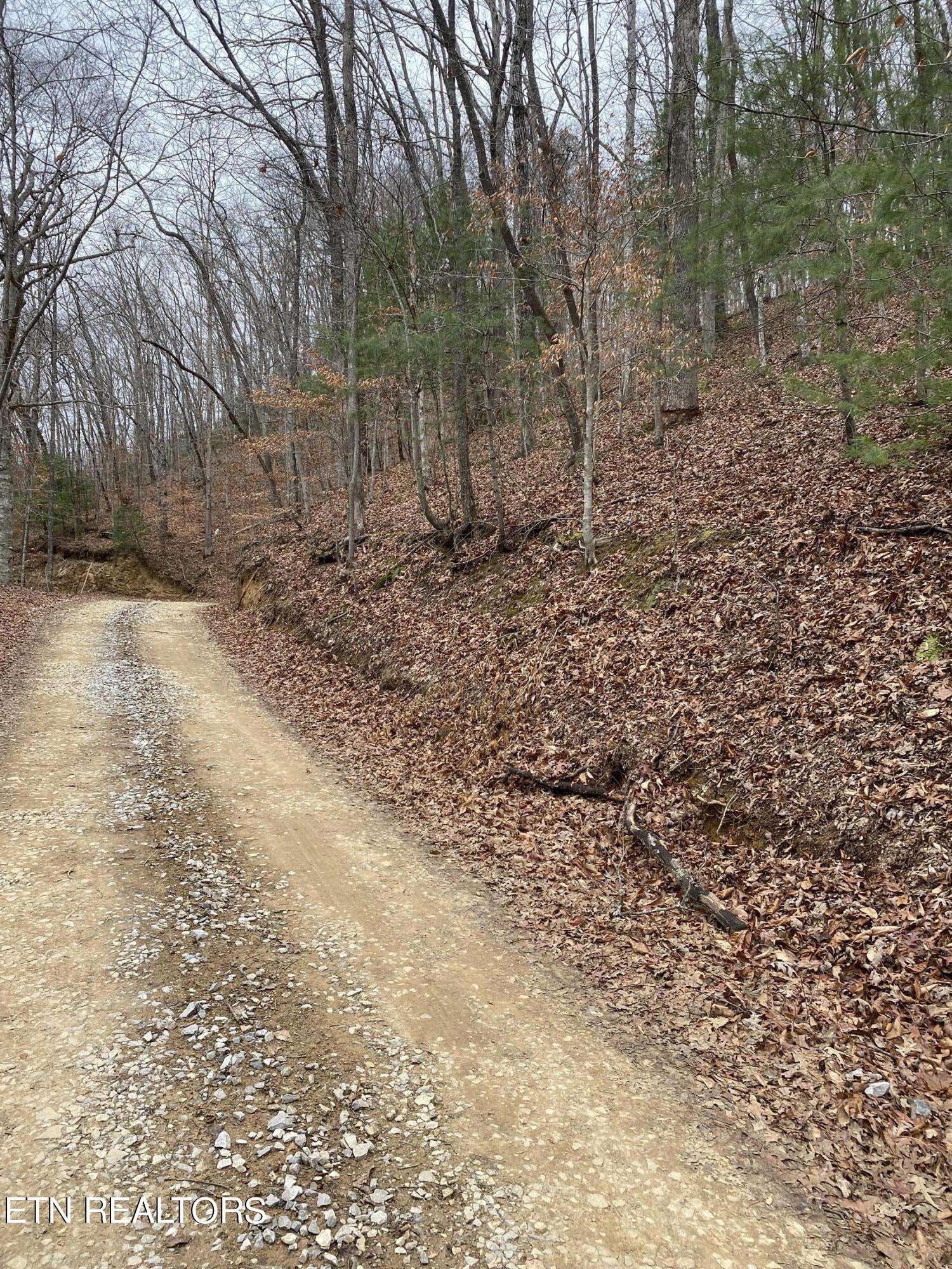 Oneida, TN 37841,LOT # 8 STANLEY CREEK