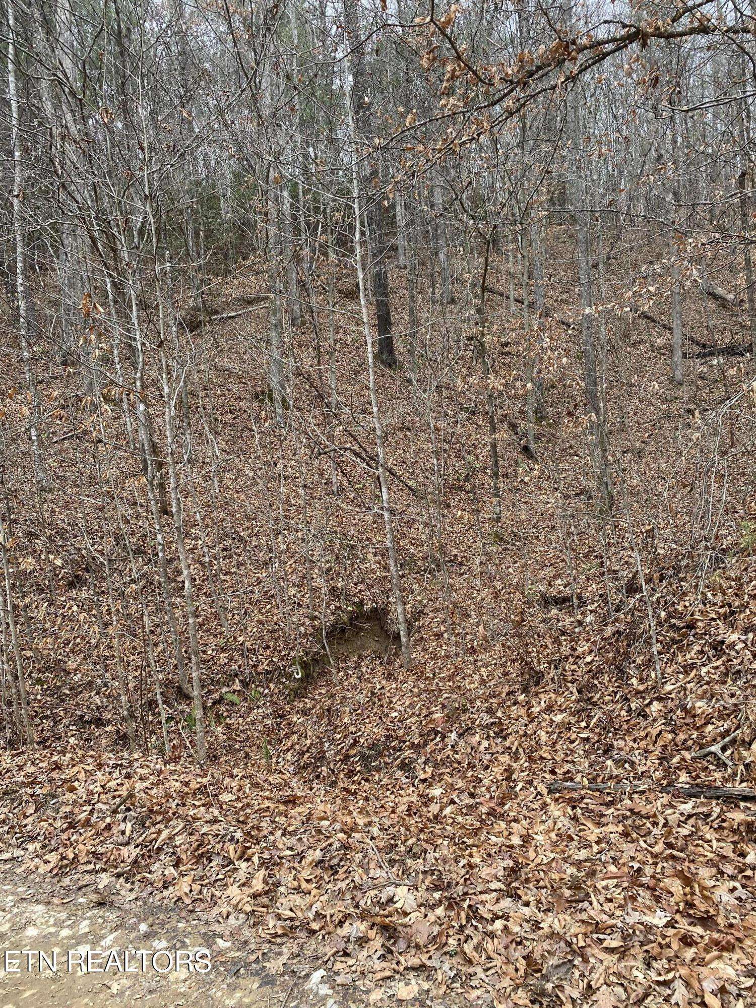 Oneida, TN 37841,LOT # 8 STANLEY CREEK