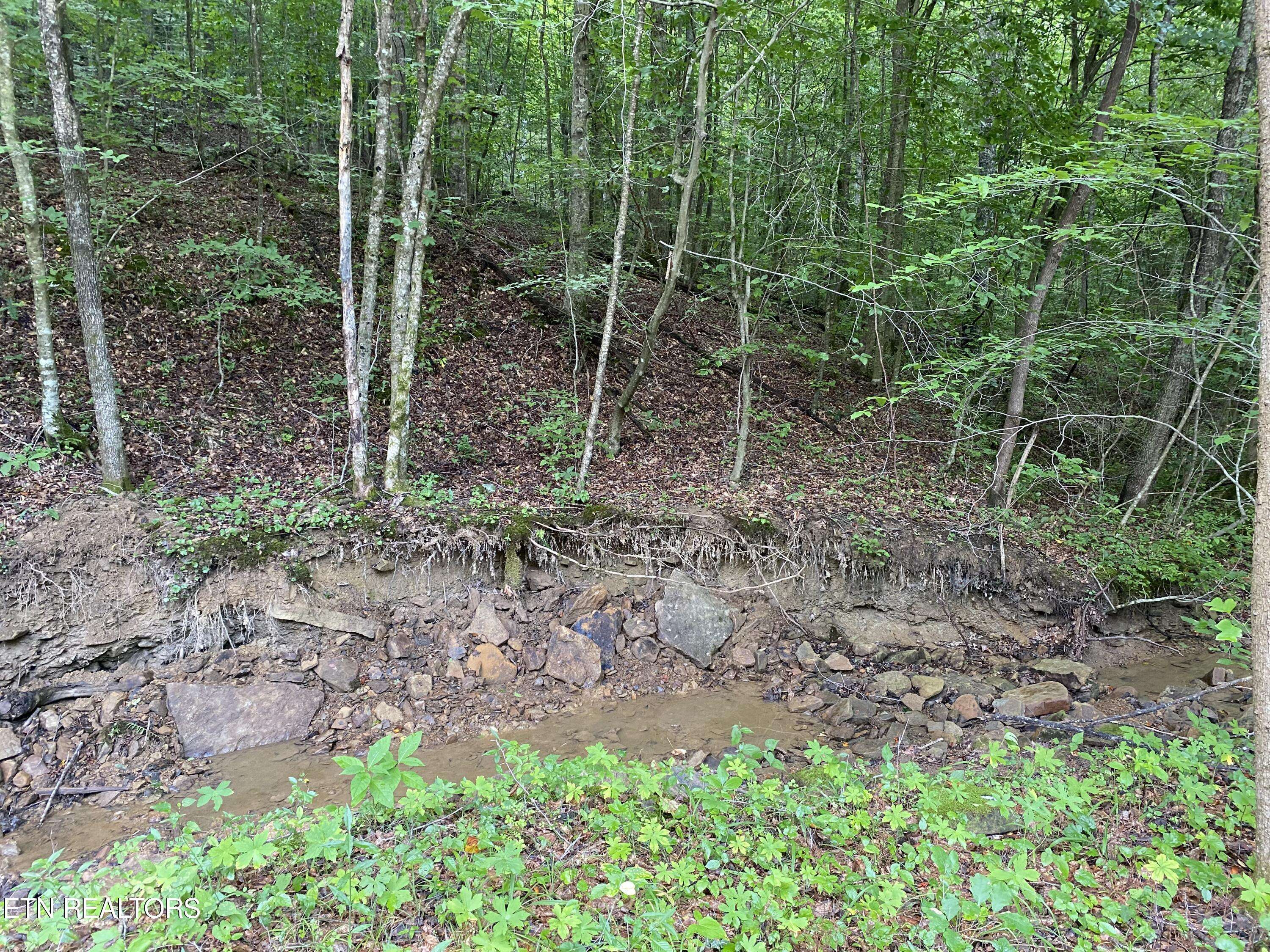 Oneida, TN 37841,LOT #10 Stanley Creek Rd