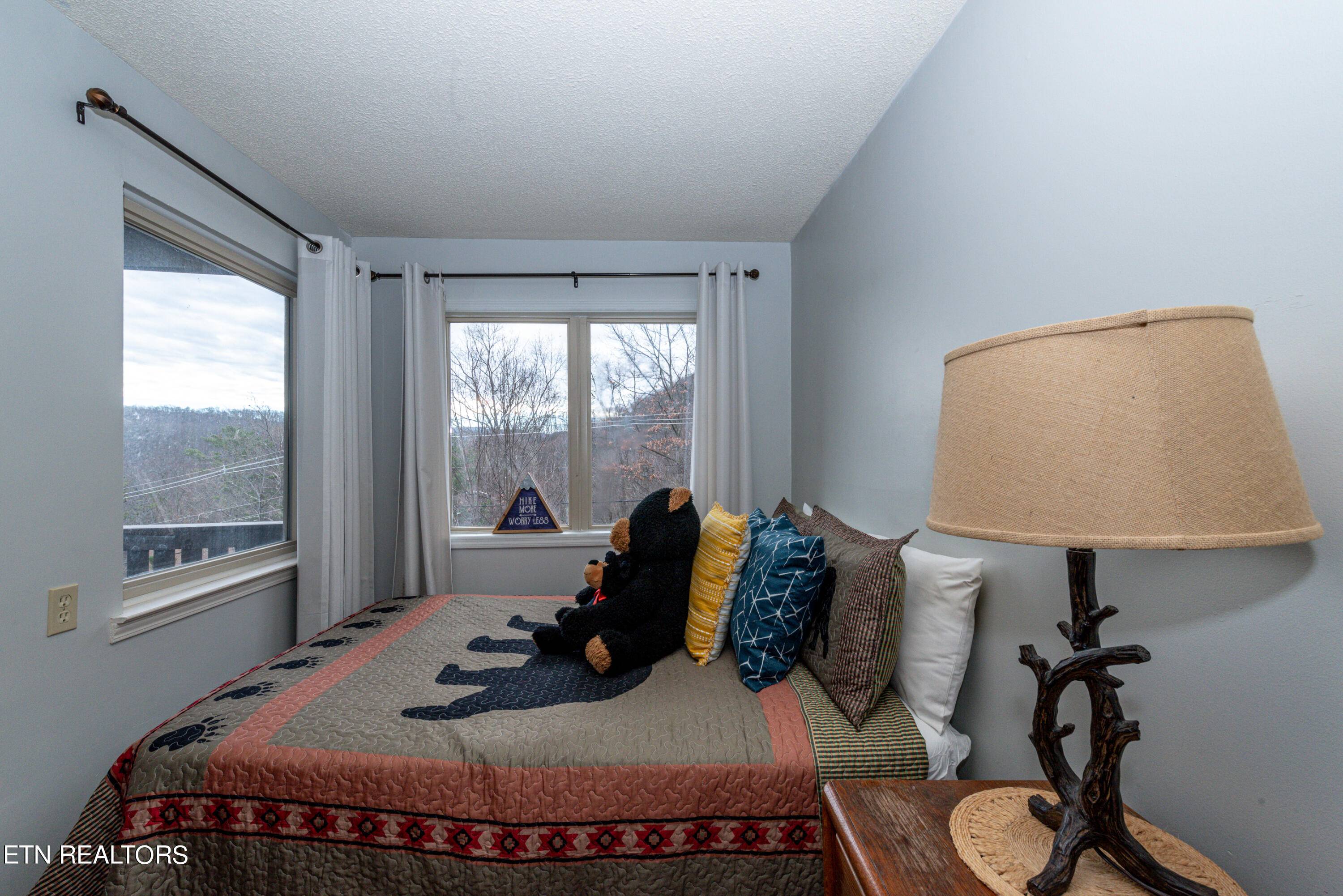 Gatlinburg, TN 37738,1380 Ski View DR #UNIT 1106