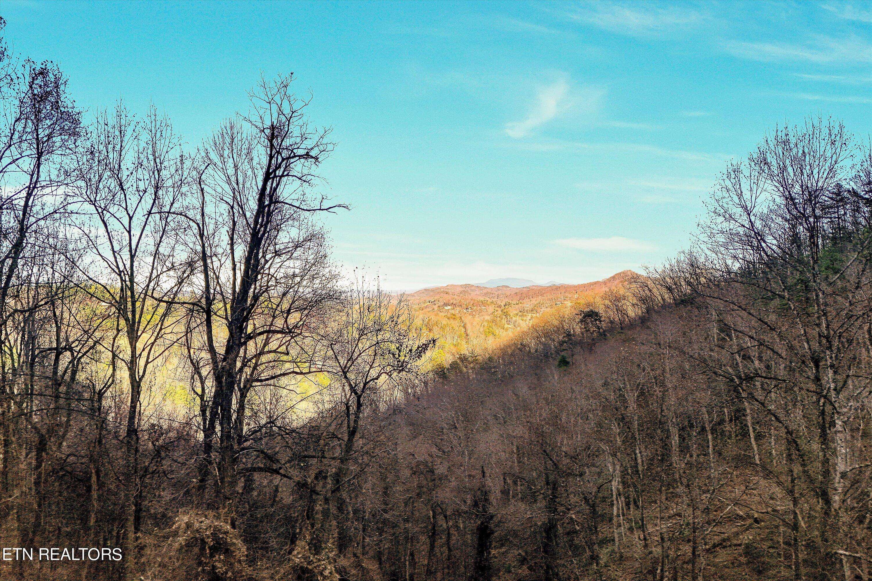 Sevierville, TN 37862,Lots 6,7 Balsam Slopes Rd