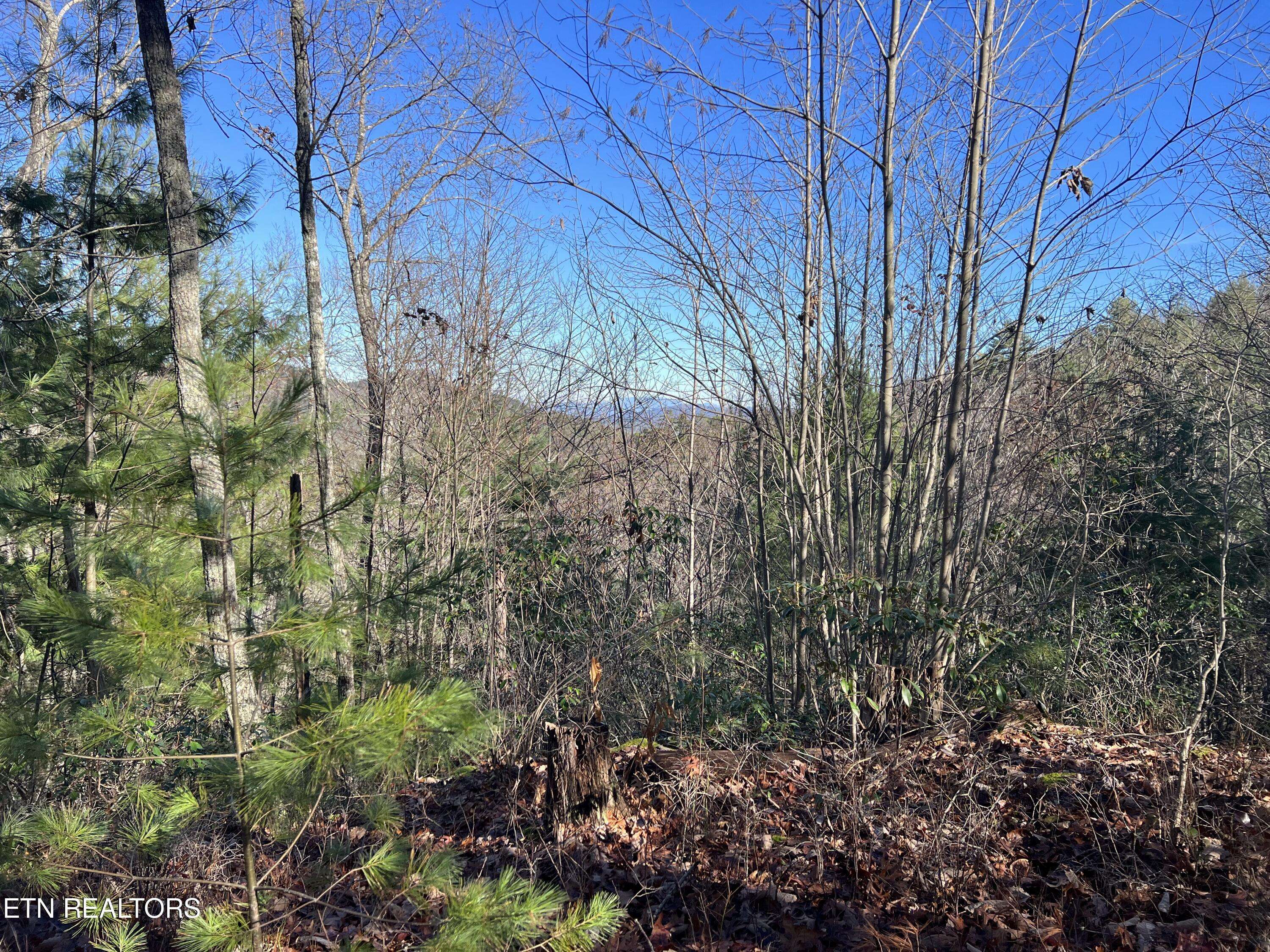 Walland, TN 37886,Lot 79W Long Rifle Rd