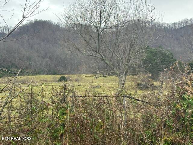 Dryden, VA 24243,Blair Rd
