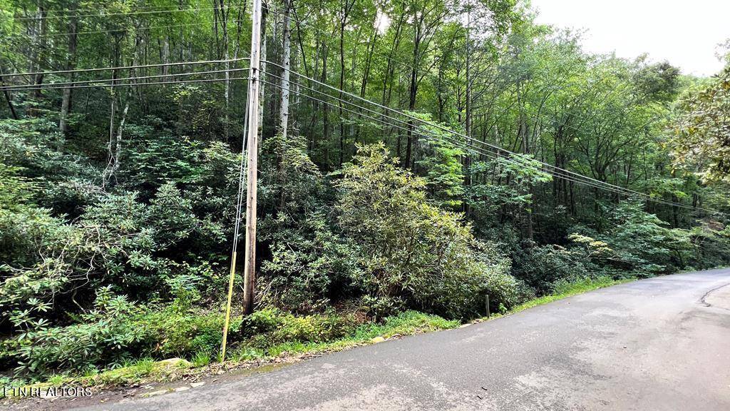 Gatlinburg, TN 37738,Lots 12,13 Butler Branch Rd