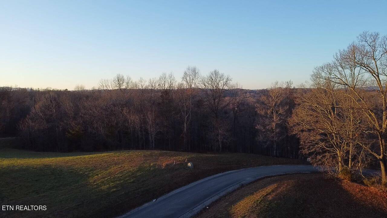 Lafollette, TN 37766,615 Prestige Ridge