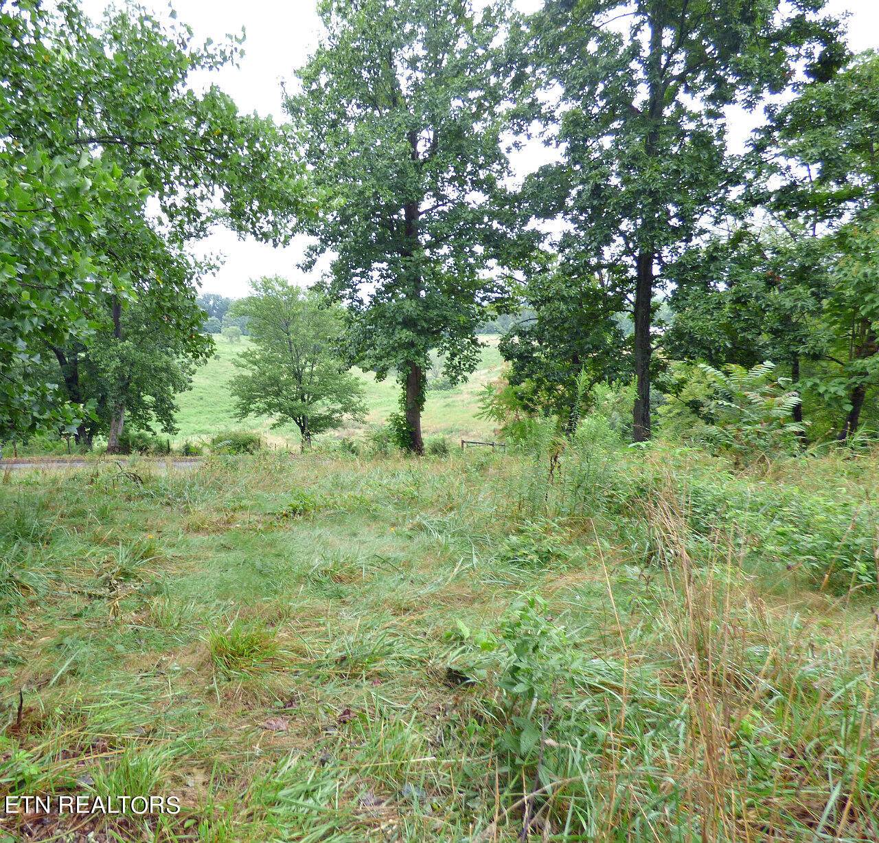 Dandridge, TN 37725,Lot 37 Stonehenge WAY