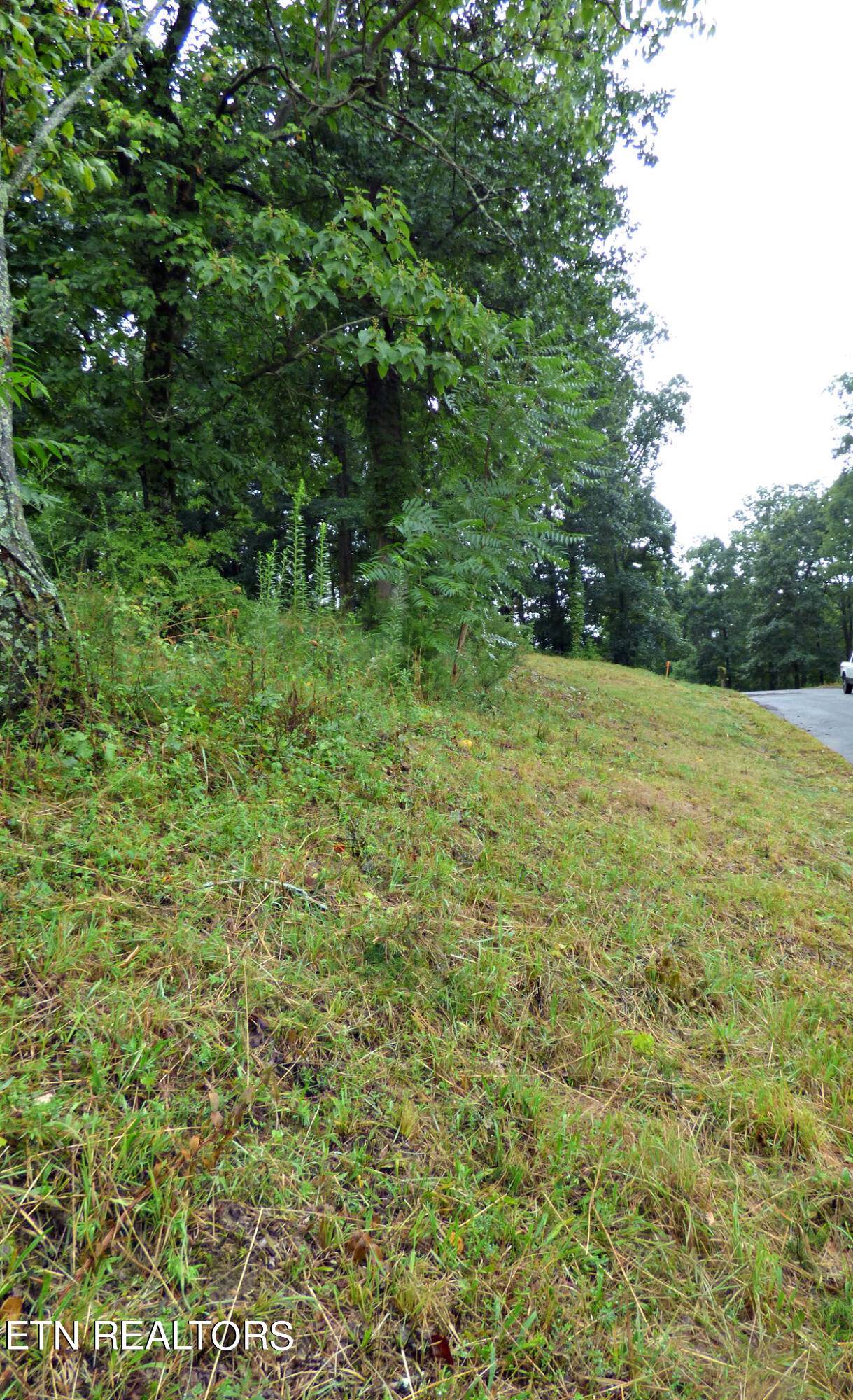 Dandridge, TN 37725,Lot 37 Stonehenge WAY