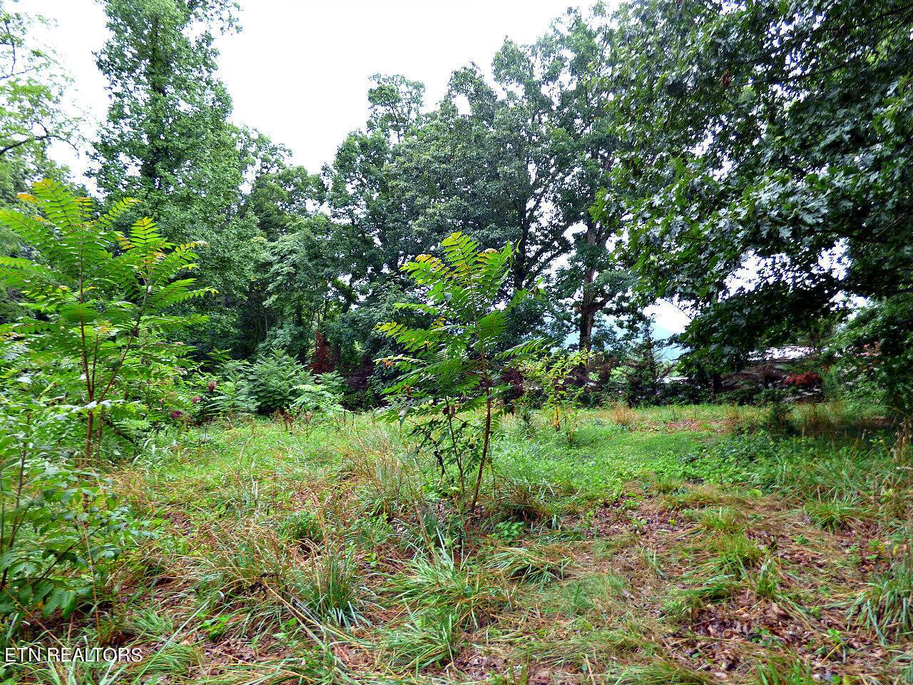 Dandridge, TN 37725,Lot 37 Stonehenge WAY