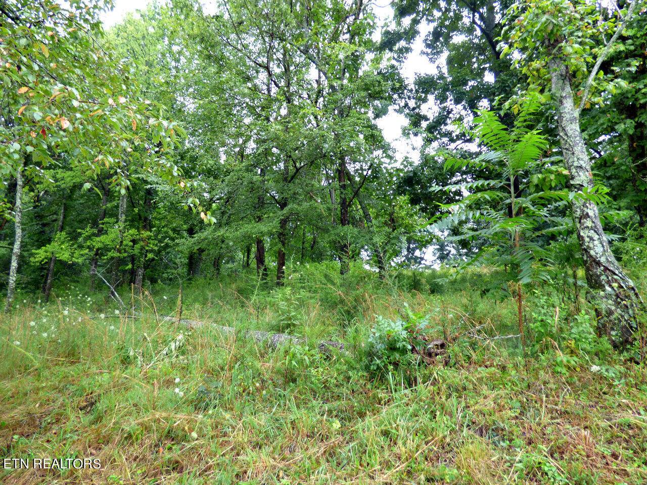 Dandridge, TN 37725,Lot 37 Stonehenge WAY