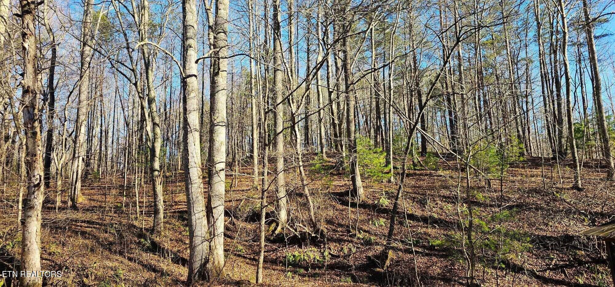 Tellico Plains, TN 37385,5 acres Lower Smithfield Rd