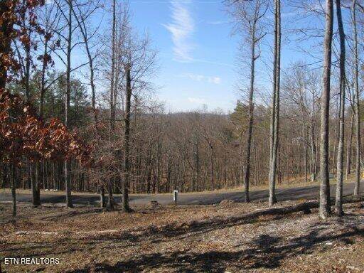 Bean Station, TN 37708,Lot #32 Bayside Blvd