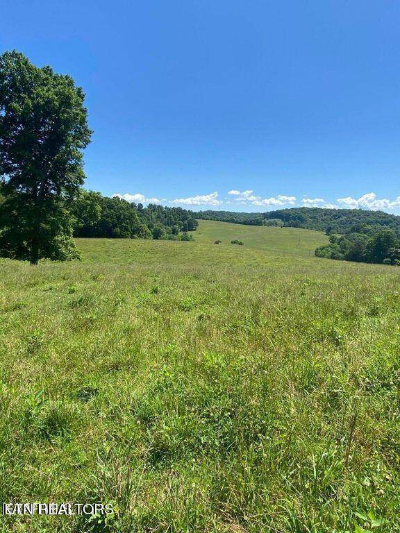 Lafollette, TN 37766,Lot 6 Chapman Rd