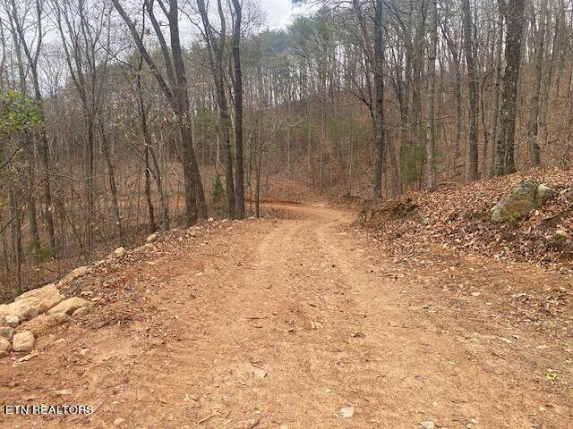 Etowah, TN 37331,5.5 acres Off County Road 875