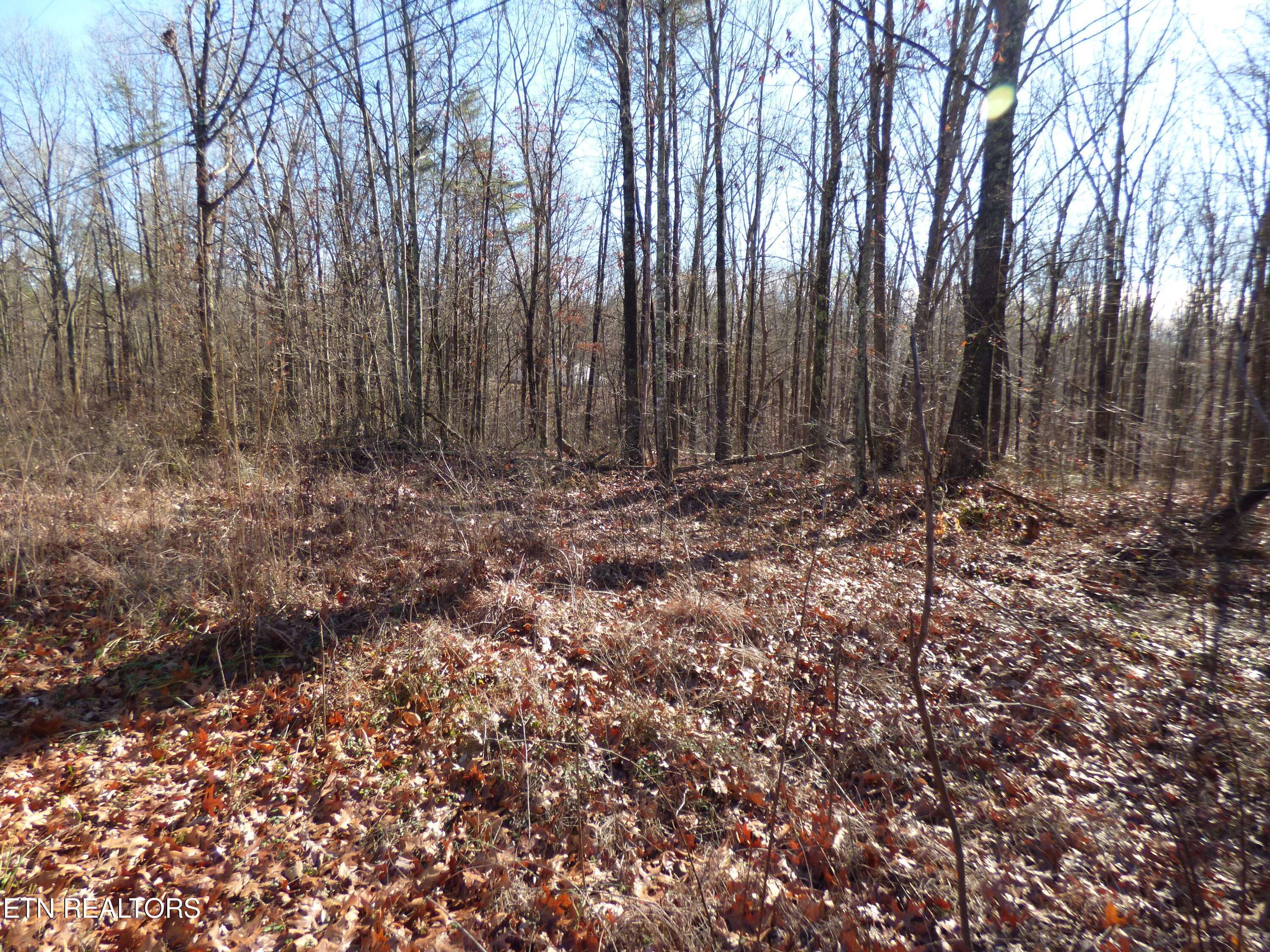 Sparta, TN 38583,Glade Creek Rd