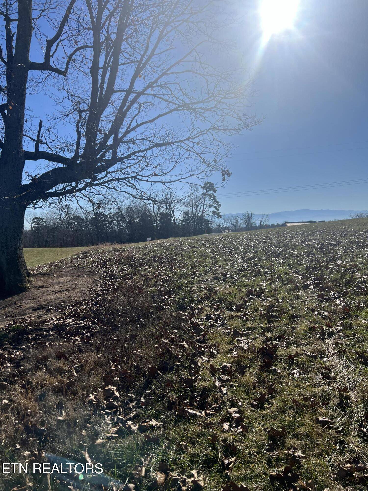 Dandridge, TN 37725,Lot 6 Valley Home Rd