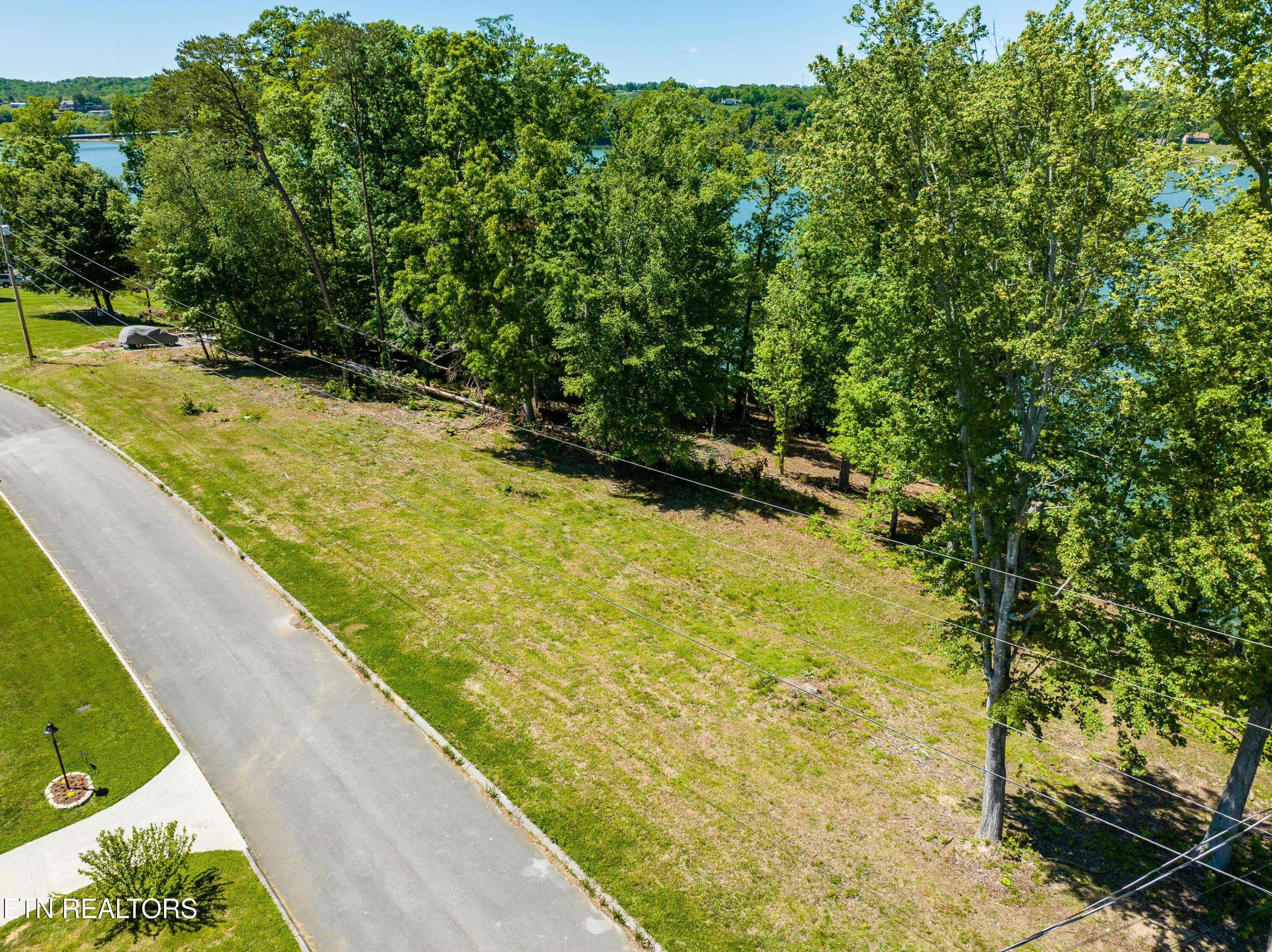 Dandridge, TN 37725,Lot #22 David Swann DR