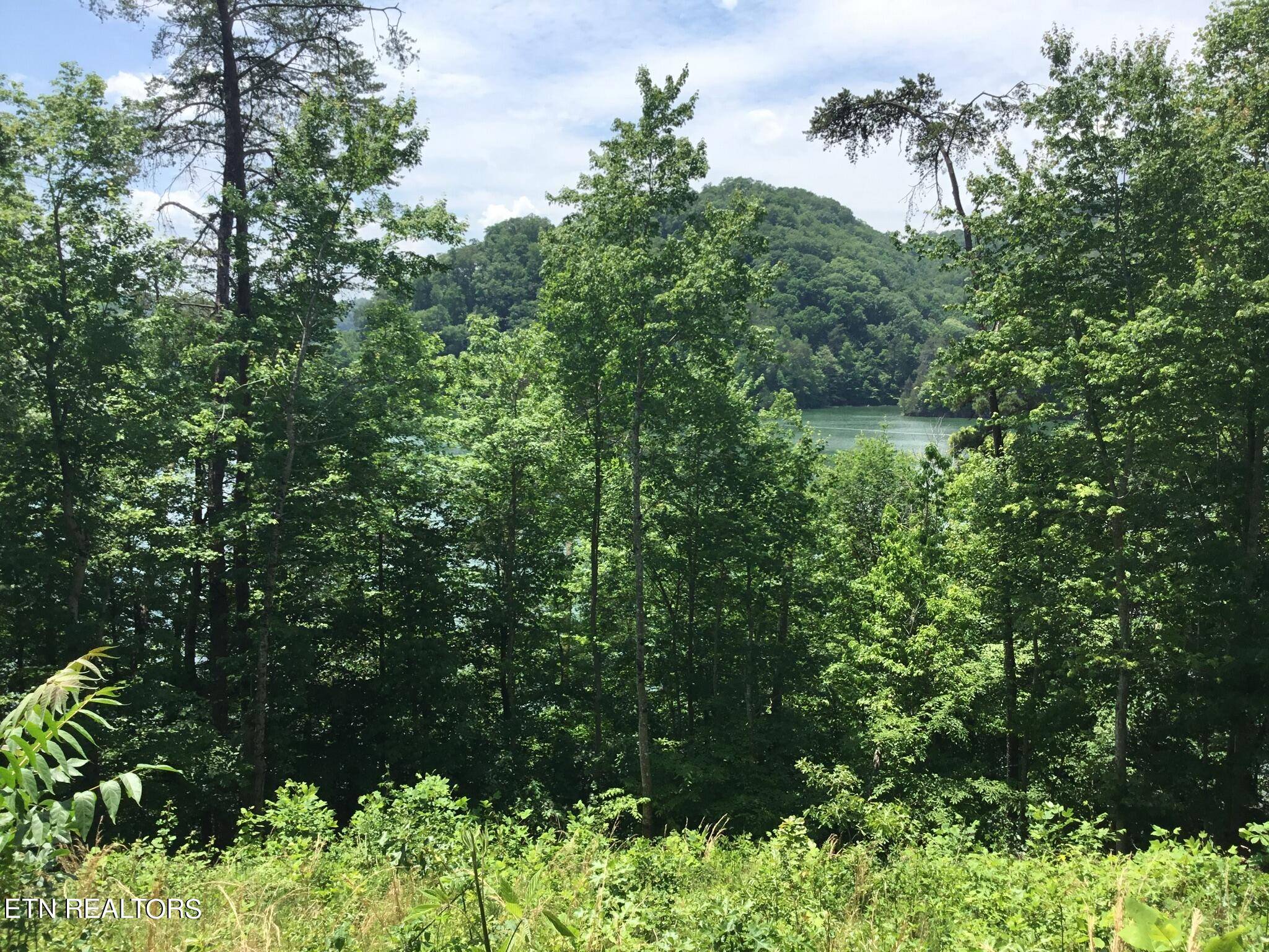 New Tazewell, TN 37825,Lot 880 Fellowship LN