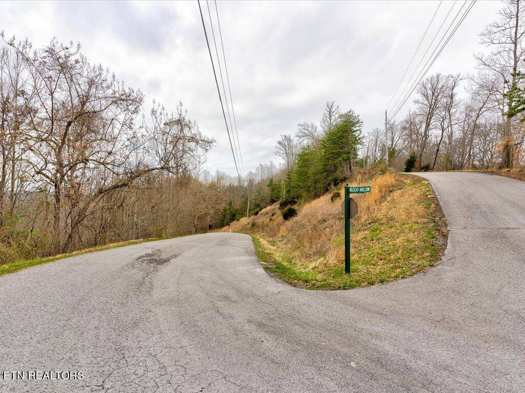 New Tazewell, TN 37825,Lot 811 Creekside DR