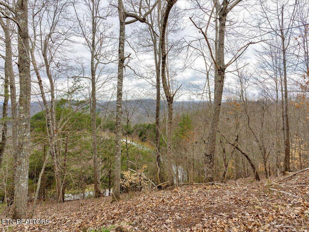 New Tazewell, TN 37825,Lot 811 Creekside DR