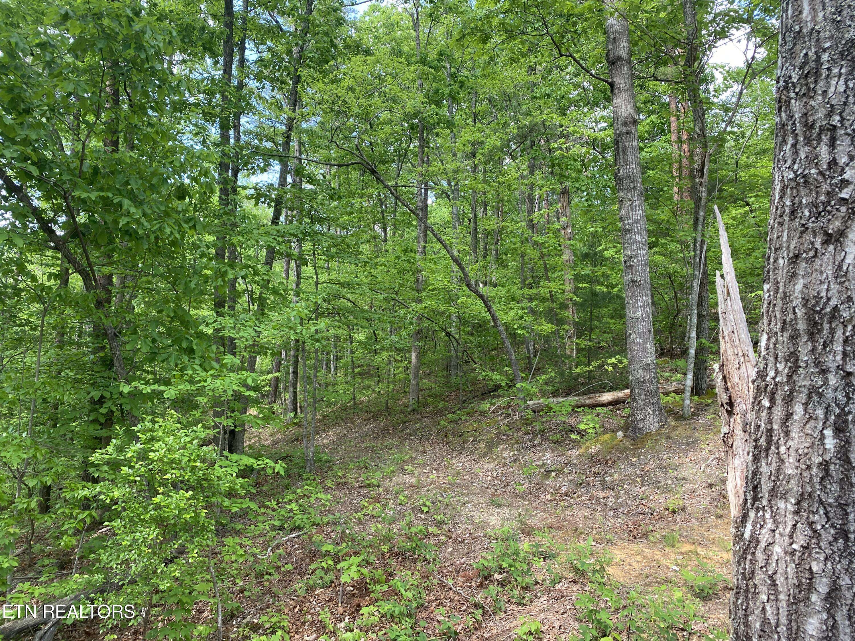 Tellico Plains, TN 37385,Indian Ridge Drive