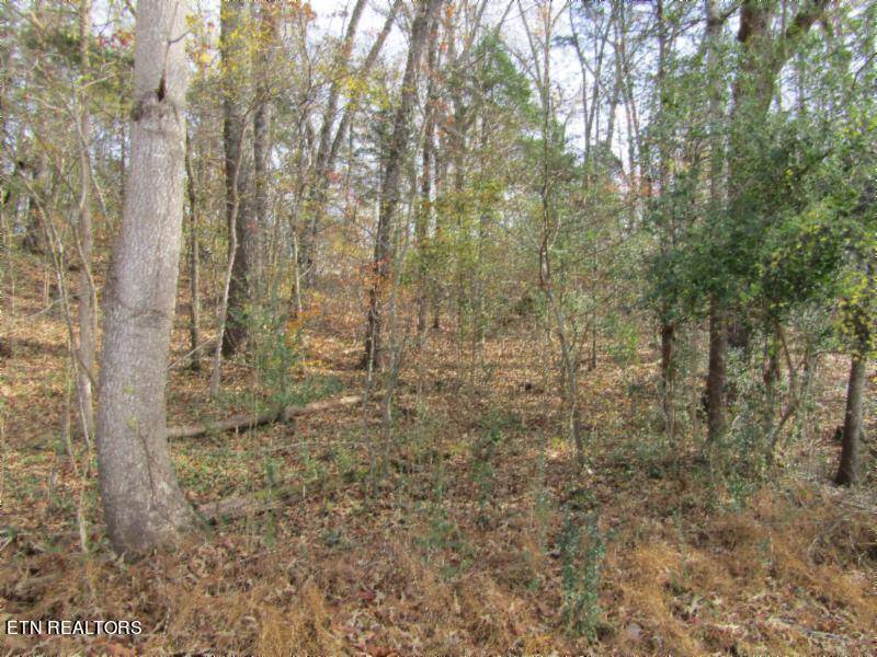 Spencer, TN 38585,Lot 10 River Oaks Drive