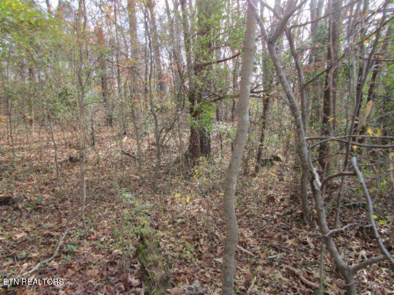 Spencer, TN 38585,Lot 10 River Oaks Drive