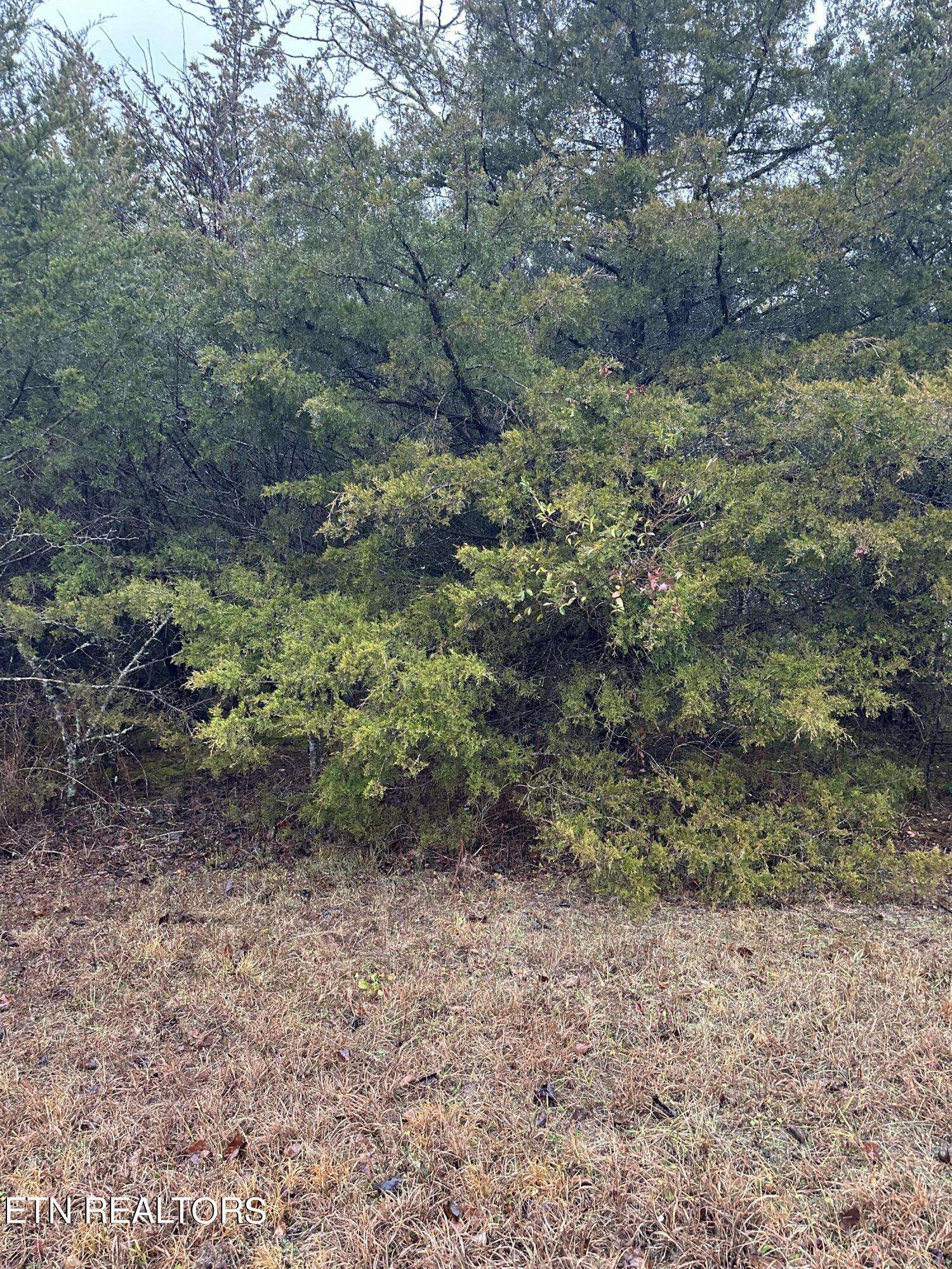 Tazewell, TN 37879,Lot156 Wedge WAY