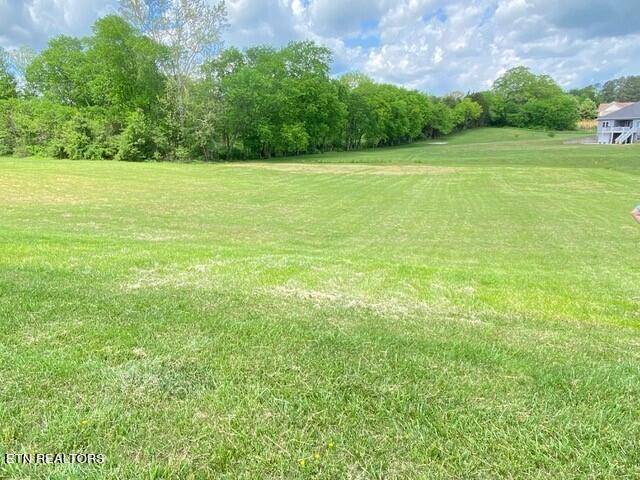 Madisonville, TN 37354,Lot 39R Old Hickory CIR