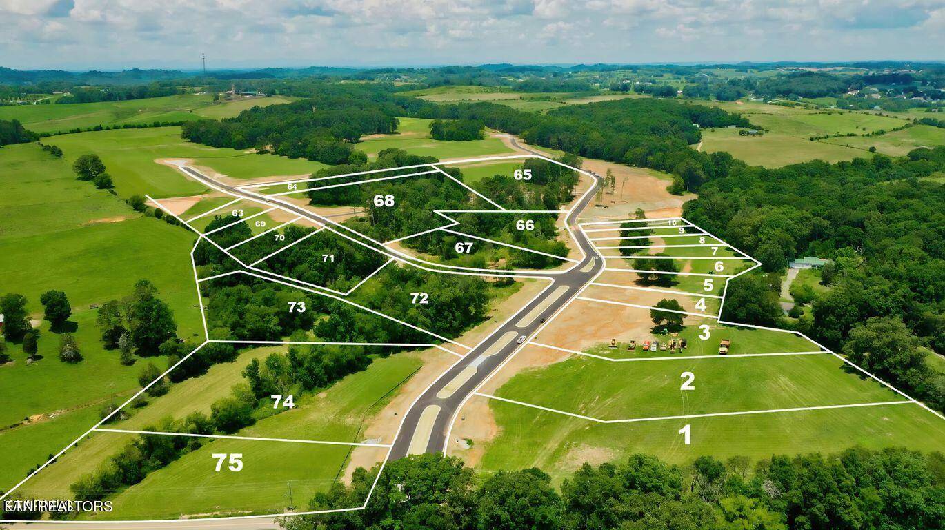 Greenback, TN 37742,LOT68 919 Sophie DR