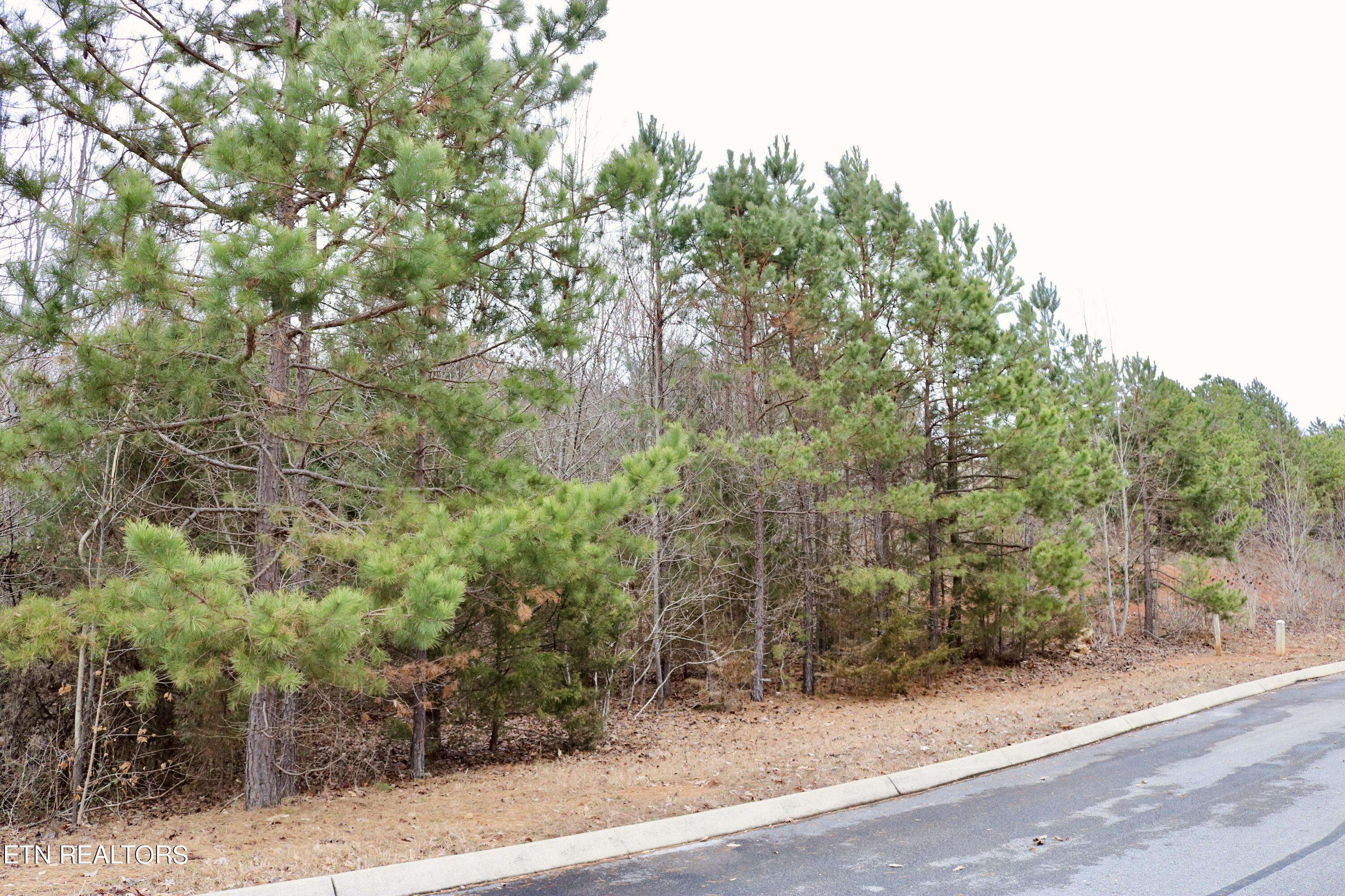 Rutledge, TN 37861,Lot 144 Shiloh Springs