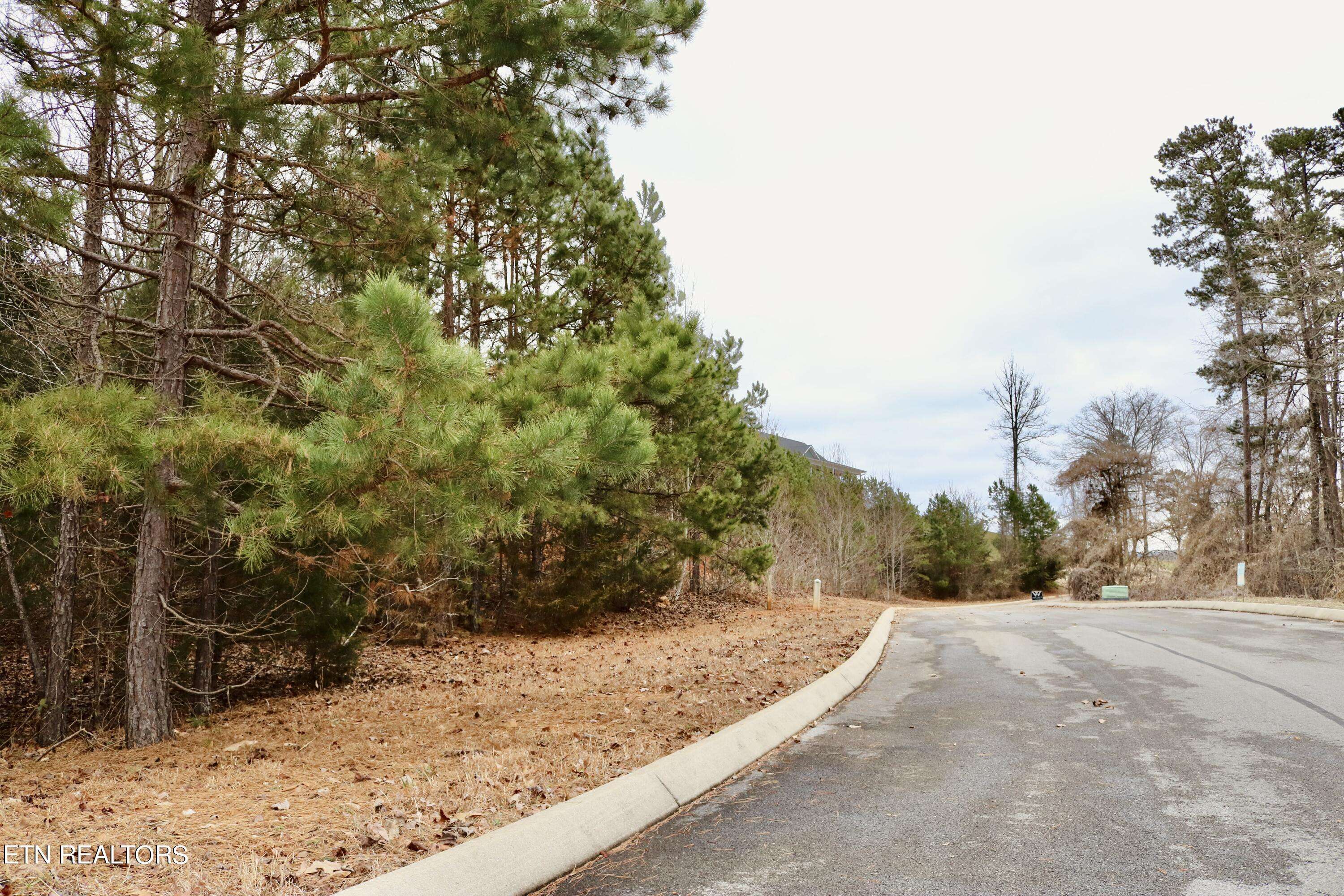 Rutledge, TN 37861,Lot 144 Shiloh Springs