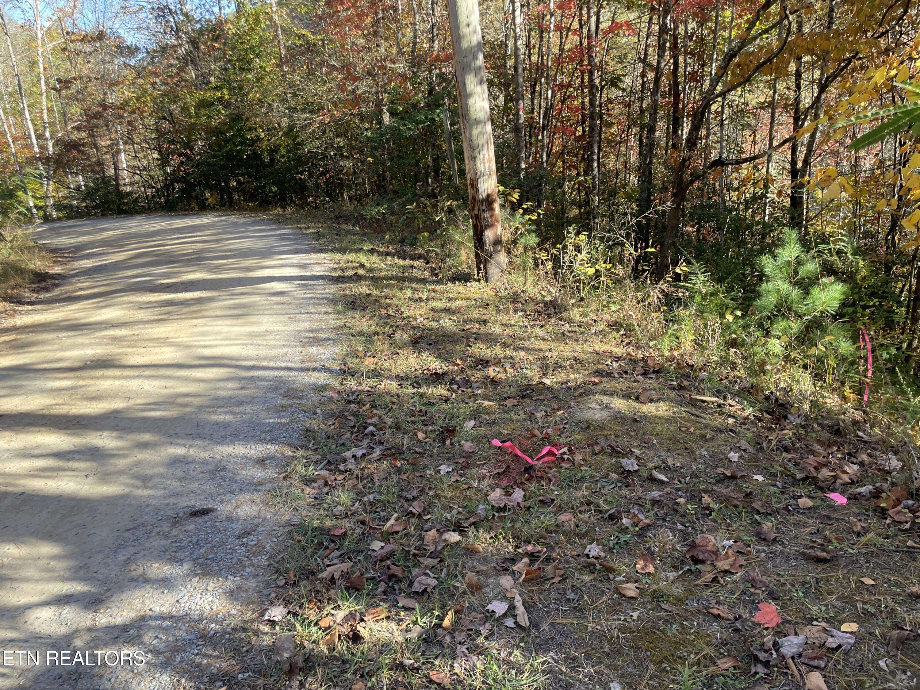 Sevierville, TN 37876,Lot 9 Dunns Creek Rd