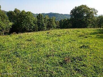 Sneedville, TN 37869,TBD LOT 1 Trents Chapel Rd