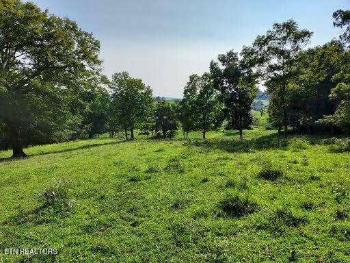 Sneedville, TN 37869,TBD LOT 1 Trents Chapel Rd