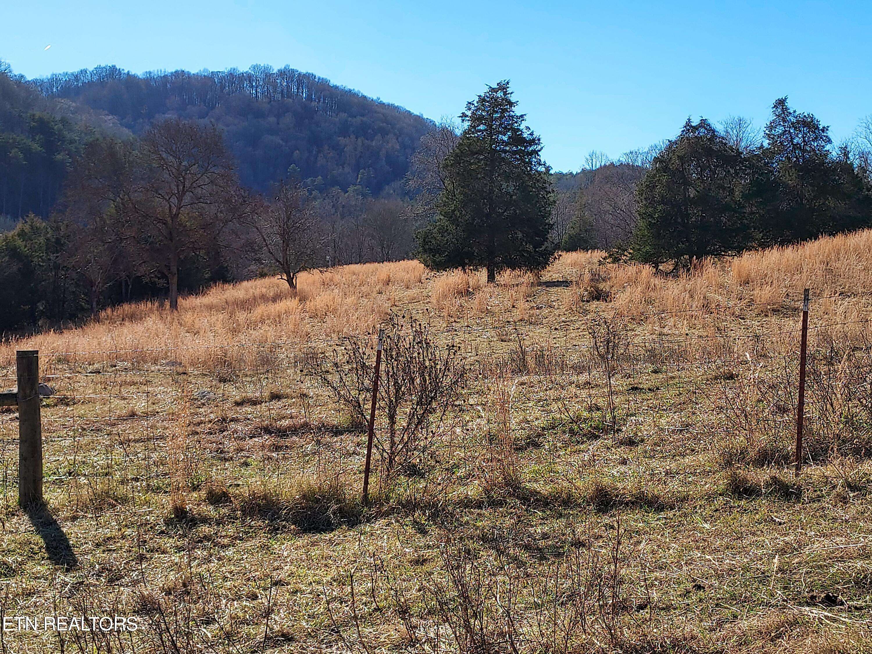 Sneedville, TN 37869,TBD LOT 4 STONEY FORK Rd