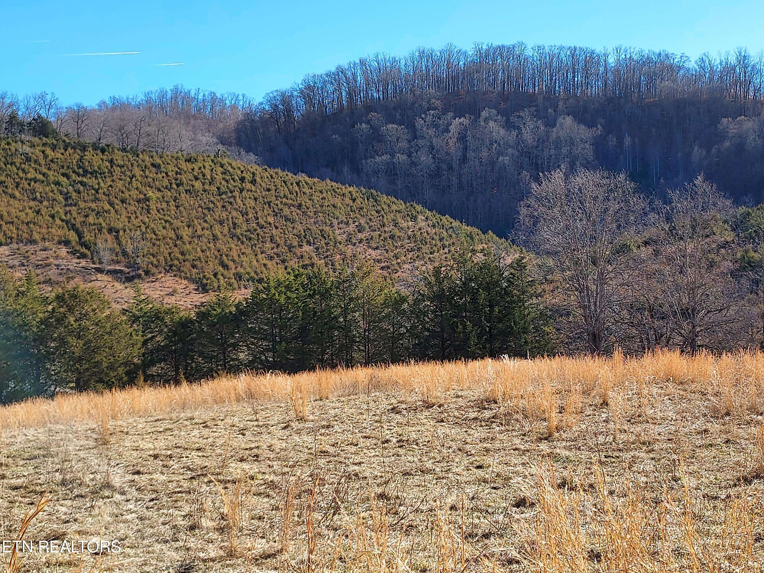 Sneedville, TN 37869,TBD LOT 4 STONEY FORK Rd