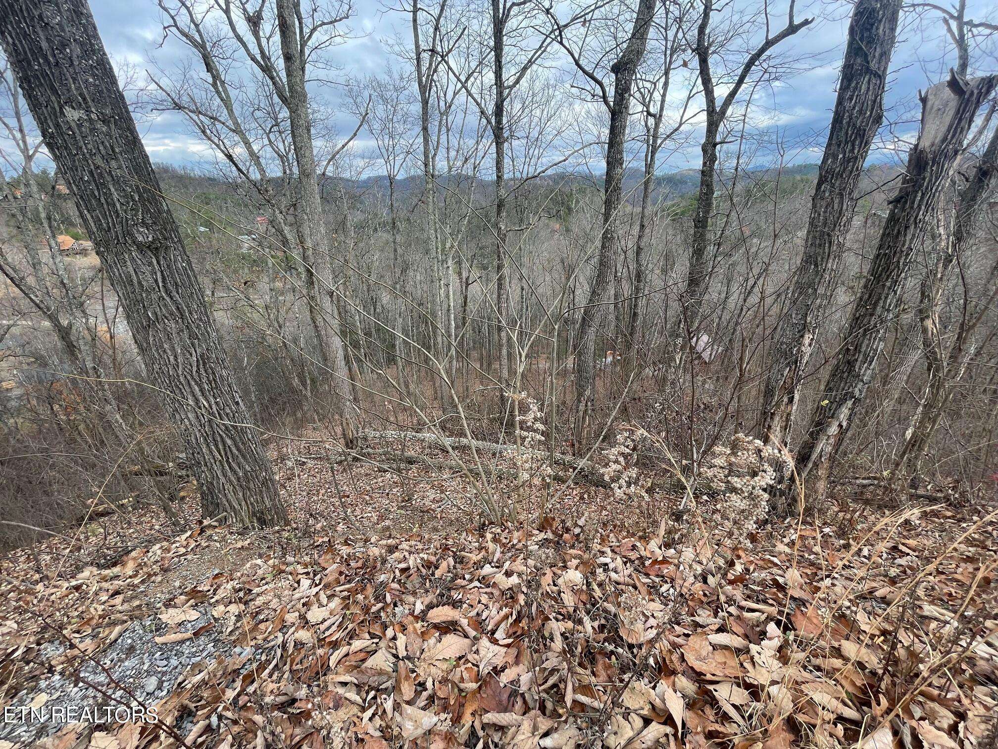 Sevierville, TN 37876,Lot 99 Dolly South DR